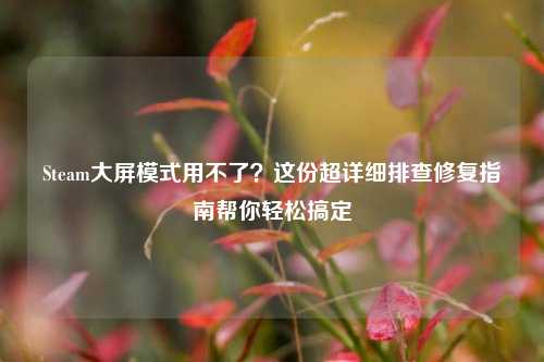 Steam大屏模式用不了？这份超详细排查修复指南帮你轻松搞定