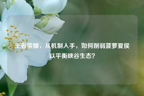 王者荣耀，从机制入手，如何削弱菠萝夏侯惇以平衡峡谷生态？