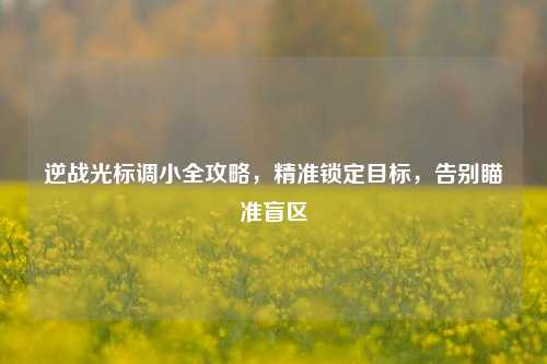 逆战光标调小全攻略,精准锁定目标,告别瞄准盲区
