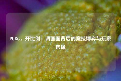 PUBG,开比例、调画面背后的竞技博弈与玩家选择