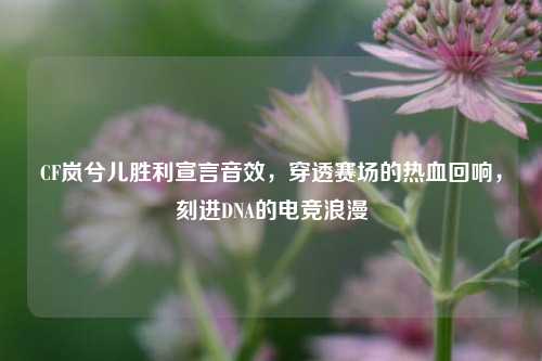 CF岚兮儿胜利宣言音效,穿透赛场的热血回响,刻进DNA的电竞浪漫