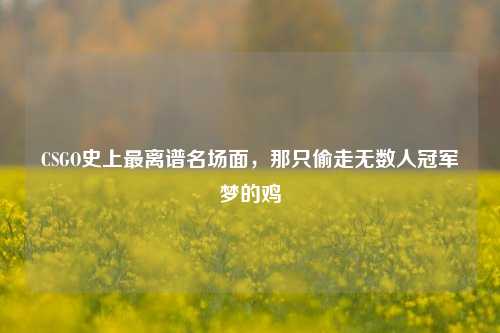 CSGO史上最离谱名场面,那只偷走无数人冠军梦的鸡