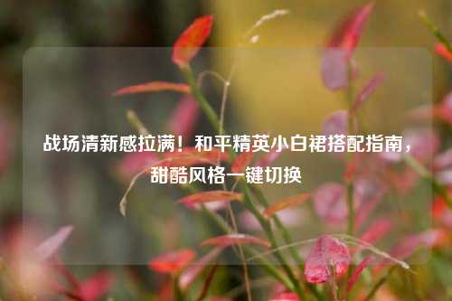 战场清新感拉满!和平精英小白裙搭配指南,甜酷风格一键切换