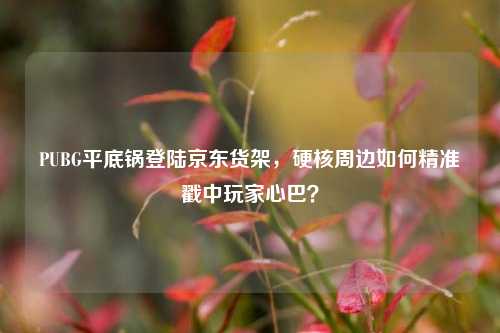 PUBG平底锅登陆京东货架,硬核周边如何精准戳中玩家心巴?