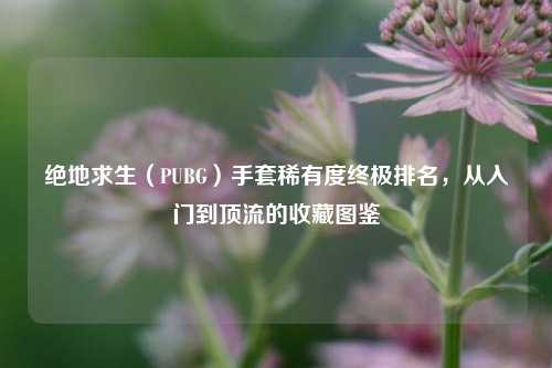 绝地求生(PUBG)手套稀有度终极排名,从入门到顶流的收藏图鉴
