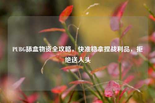 PUBG舔盒物资全攻略,快准稳拿捏战利品,拒绝送人头