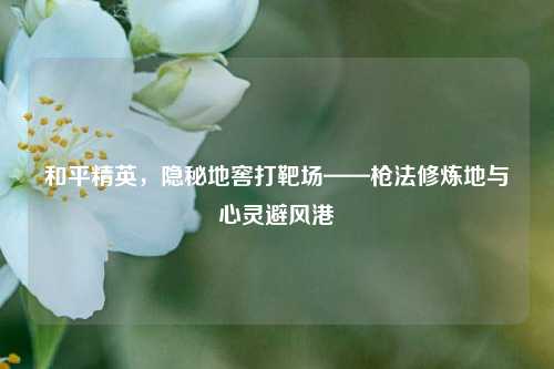 和平精英，隐秘地窖打靶场——枪法修炼地与心灵避风港