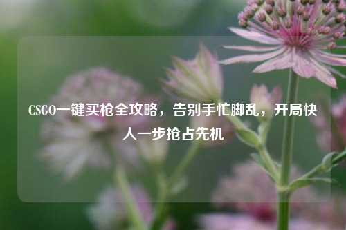 CSGO一键买枪全攻略,告别手忙脚乱,开局快人一步抢占先机
