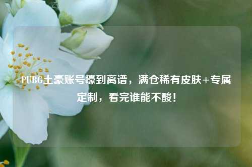 PUBG土豪账号壕到离谱,满仓稀有皮肤+专属定制,看完谁能不酸!