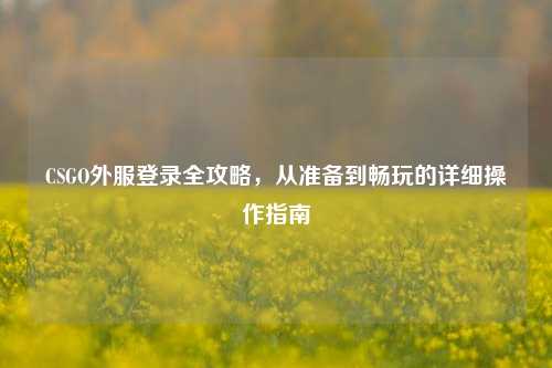 CSGO外服登录全攻略，从准备到畅玩的详细操作指南