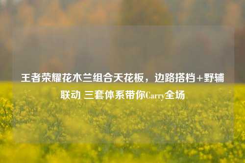 王者荣耀花木兰组合天花板,边路搭档+野辅联动 三套体系带你Carry全场