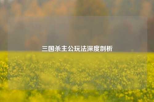 三国杀主公玩法深度剖析