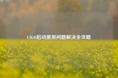 CSGO启动黑屏问题解决全攻略