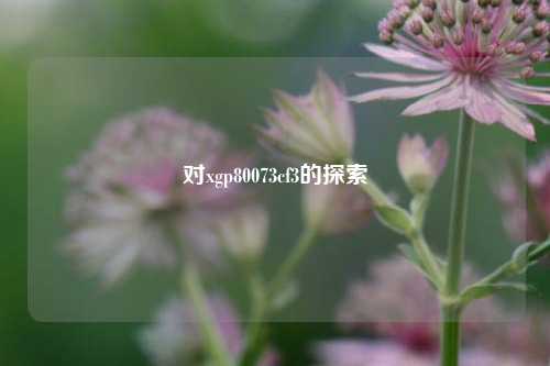 对xgp80073cf3的探索
