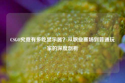 CSGO究竟有多吃显示器?从职业赛场到普通玩家的深度剖析