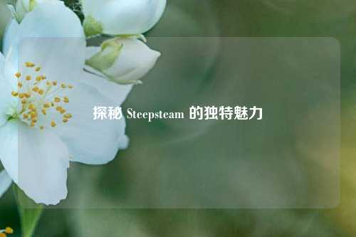 探秘 Steepsteam 的独特魅力