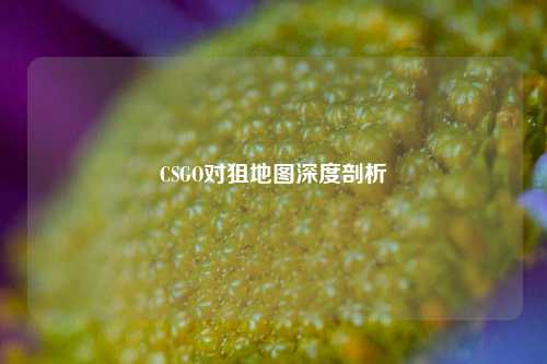 CSGO对狙地图深度剖析