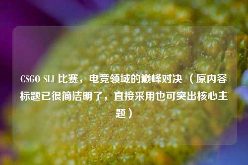 CSGO SLI 比赛，电竞领域的巅峰对决 （原内容标题已很简洁明了，直接采用也可突出核心主题）