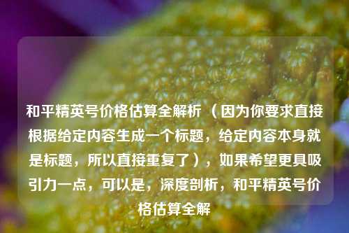 和平精英号价格估算全解析 （因为你要求直接根据给定内容生成一个标题，给定内容本身就是标题，所以直接重复了），如果希望更具吸引力一点，可以是，深度剖析，和平精英号价格估算全解