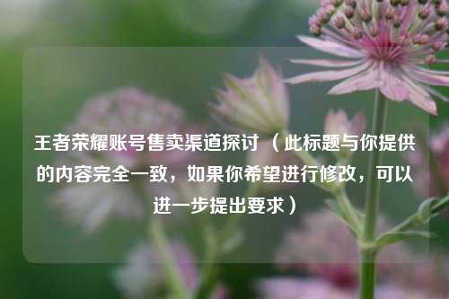 王者荣耀账号售卖渠道探讨 (此标题与你提供的内容完全一致,如果你希望进行修改,可以进一步提出要求)