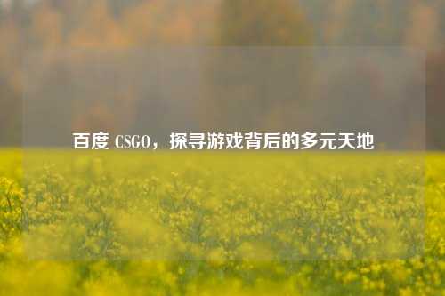 百度 CSGO，探寻游戏背后的多元天地