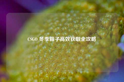 CSGO 冬季箱子高效获取全攻略