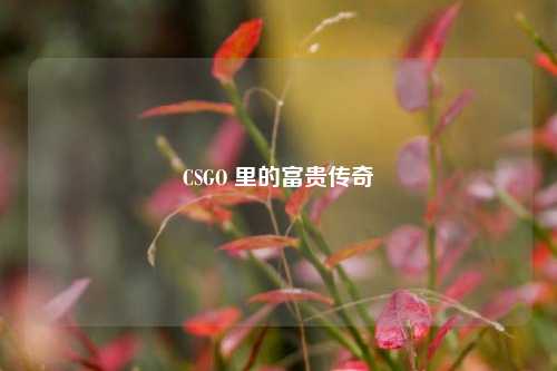 CSGO 里的富贵传奇
