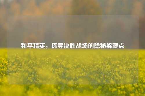 和平精英，探寻决胜战场的隐秘躲藏点