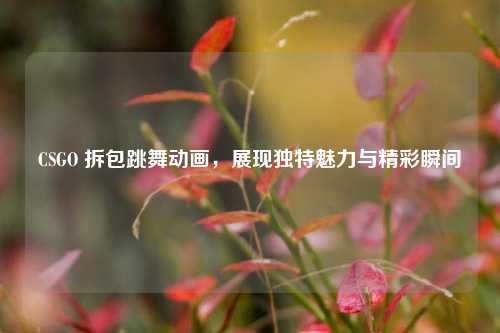 CSGO 拆包跳舞动画，展现独特魅力与精彩瞬间