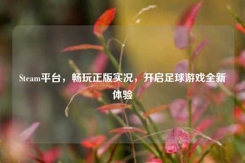 Steam平台，畅玩正版实况，开启足球游戏全新体验
