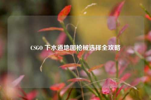 CSGO 下水道地图枪械选择全攻略
