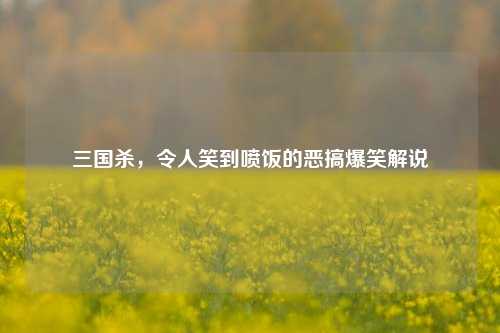 三国杀，令人笑到喷饭的恶搞爆笑解说