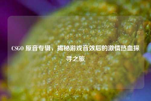 CSGO 原音专辑,揭秘游戏音效后的***热血探寻之旅