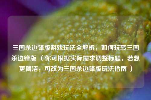三国杀边锋版游戏玩法全解析，如何玩转三国杀边锋版 （你可根据实际需求调整标题，若想更简洁，可改为三国杀边锋版玩法指南 ）