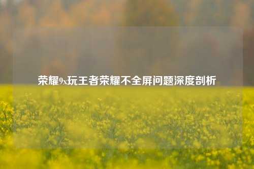 荣耀9x玩王者荣耀不全屏问题深度剖析