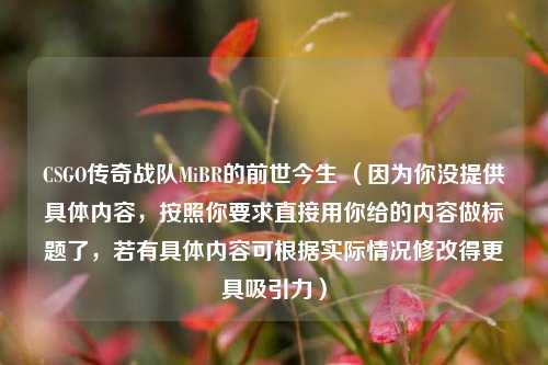 CSGO传奇战队MiBR的前世今生 （因为你没提供具体内容，按照你要求直接用你给的内容做标题了，若有具体内容可根据实际情况修改得更具吸引力）