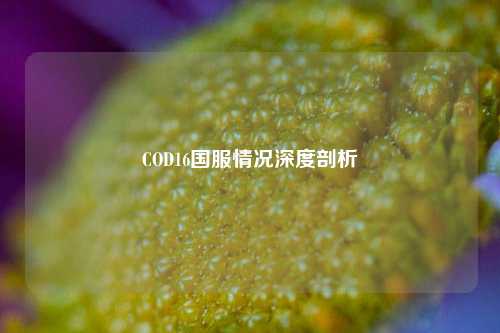 COD16国服情况深度剖析