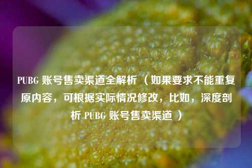PUBG 账号售卖渠道全解析 (如果要求不能重复原内容,可根据实际情况修改,比如,深度剖析 PUBG 账号售卖渠道 )