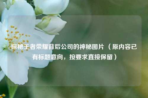 探秘王者荣耀背后公司的神秘图片 (原内容已有标题意向,按要求直接保留)