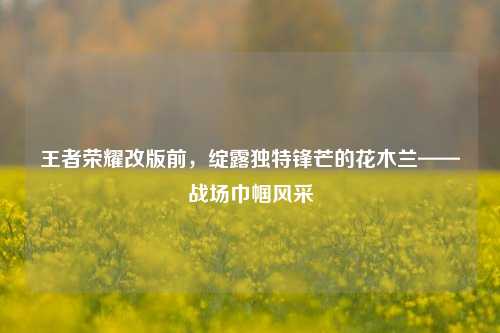 王者荣耀改版前，绽露独特锋芒的花木兰——战场巾帼风采