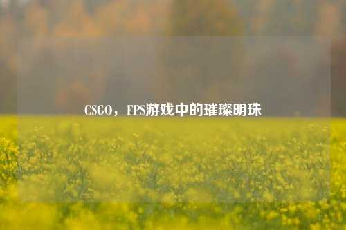 CSGO,FPS游戏中的璀璨明珠