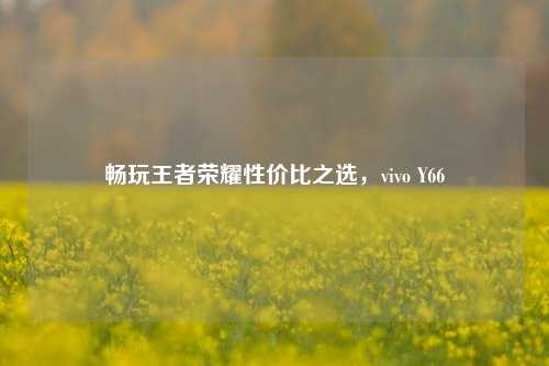 畅玩王者荣耀性价比之选，vivo Y66