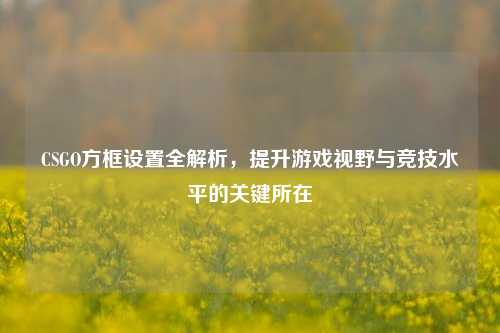 CSGO方框设置全解析，提升游戏视野与竞技水平的关键所在