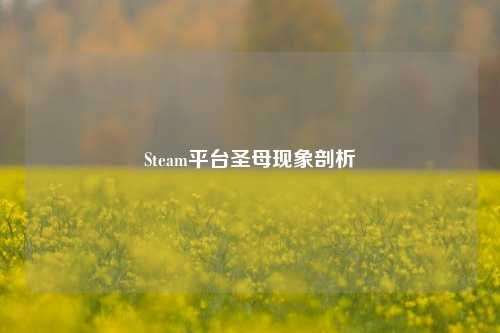 Steam平台圣母现象剖析