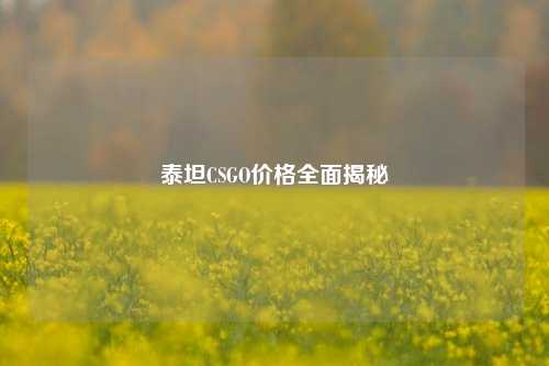泰坦CSGO价格全面揭秘