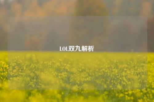 LOL双九解析
