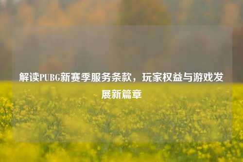 解读PUBG新赛季服务条款，玩家权益与游戏发展新篇章