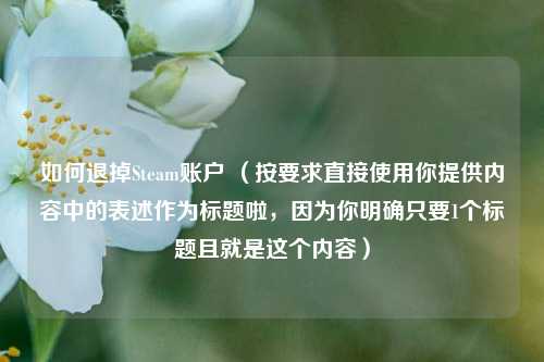 如何退掉Steam账户 （按要求直接使用你提供内容中的表述作为标题啦，因为你明确只要1个标题且就是这个内容）