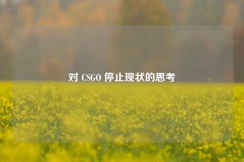 对 CSGO 停止现状的思考