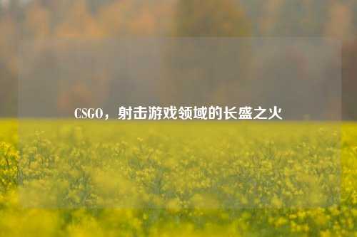 CSGO，射击游戏领域的长盛之火